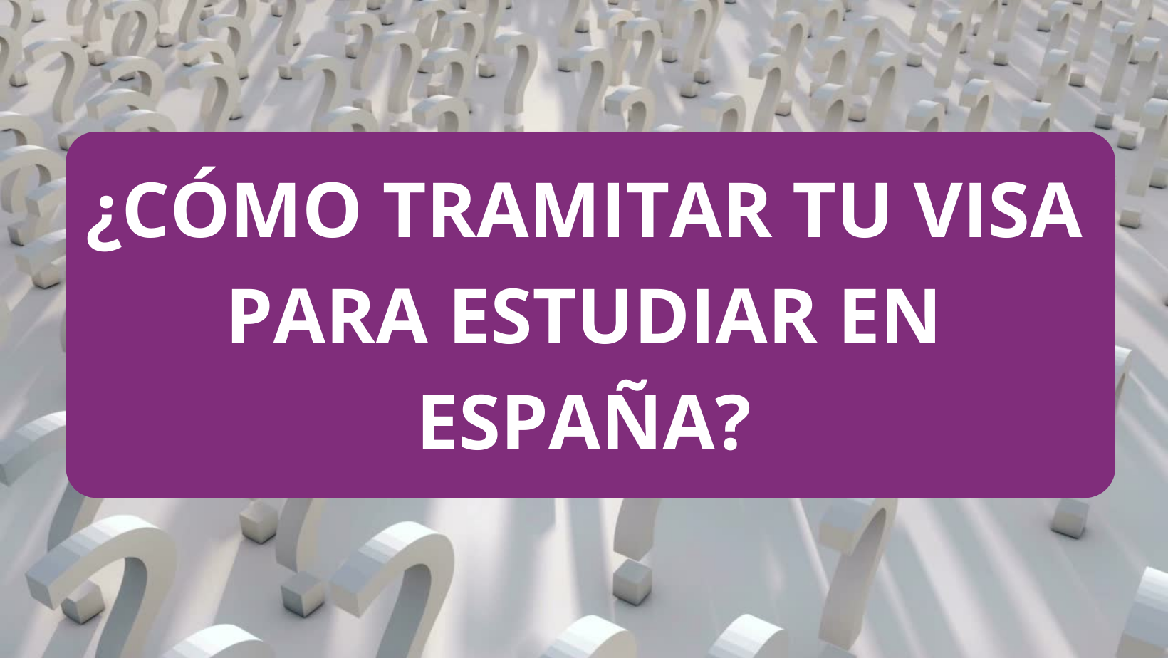 Que Es Ceoe En Espa A Que Es Ceoe En Espa A